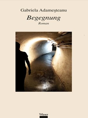 cover image of Begegnung